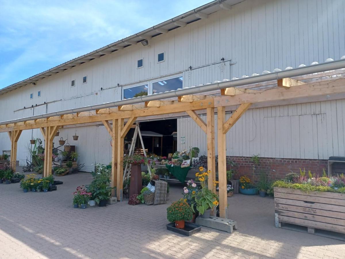 Ferienwohnung Am Elbstrom Stade Kültér fotó
